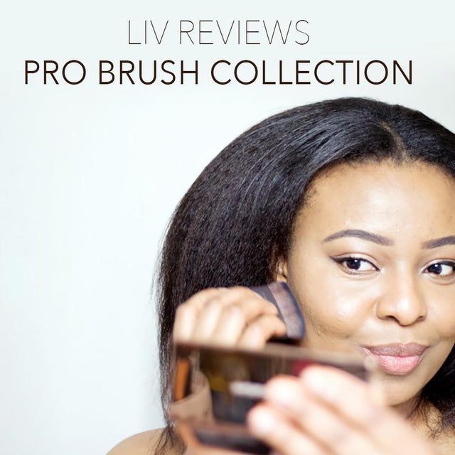 Blogger Bewertung: Pro Brush Collection